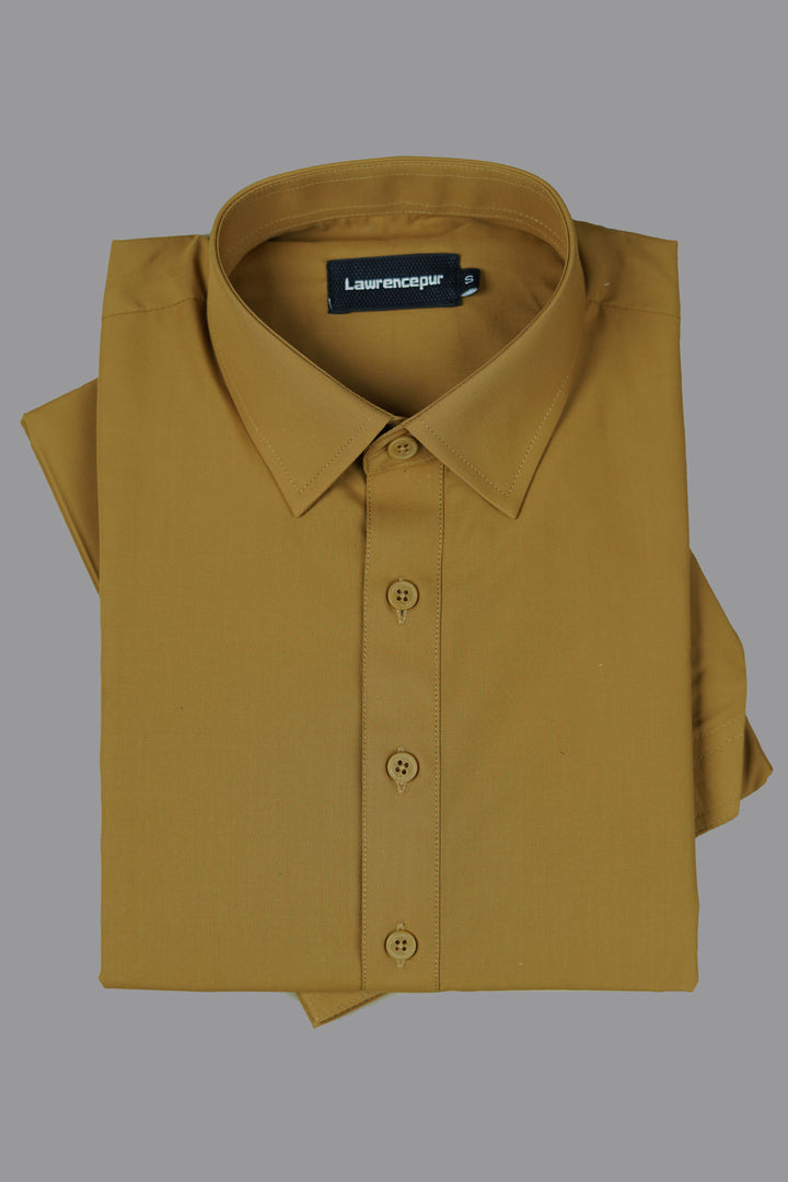 Front view of camel brown Satpara Shalwar Kameez in poly viscose-2260-22107-040-0-004